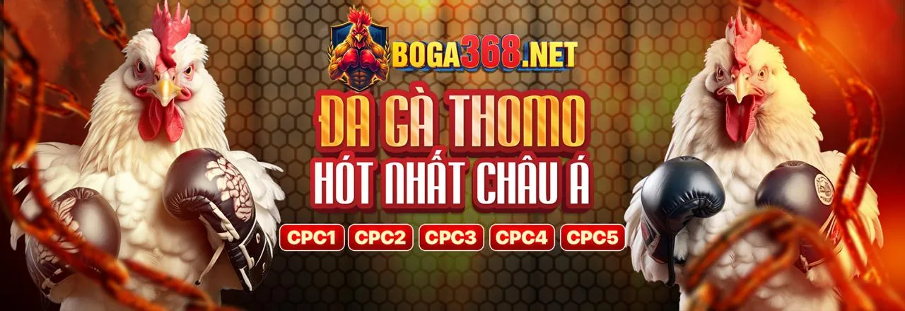 Đánh giá An toàn và Trải nghiệm Người dùng Nền tảng banca28 game bài